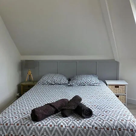 Apartment T1 Lumineux - 5 Min Gare Du Mans